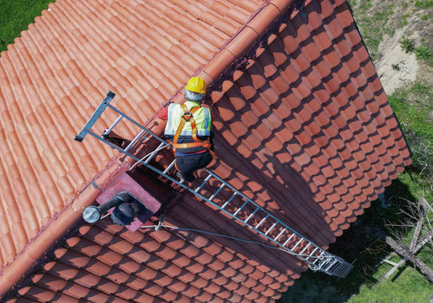 Best Asphalt Shingles Roofing  in Breckenridge, MN
