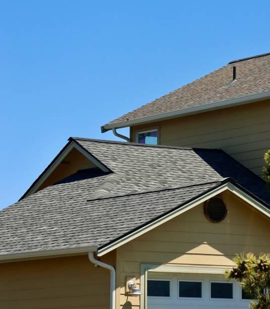 Best Roof Leak Repair  in Breckenridge, MN